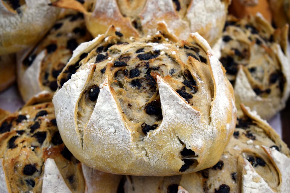 Bread the bakery bakery