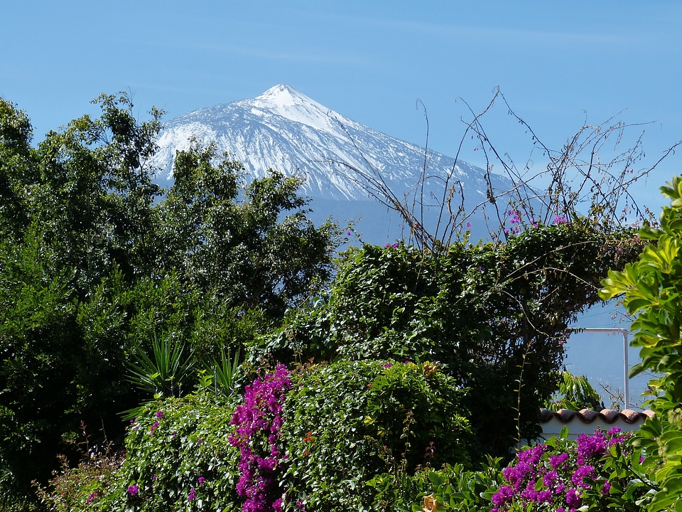 Nature spain pico de teide