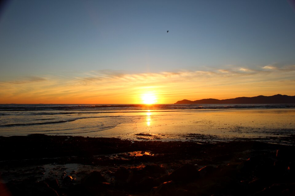 Coast kapiti landscape