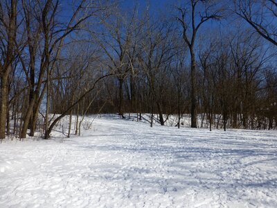 Park sky blue photo