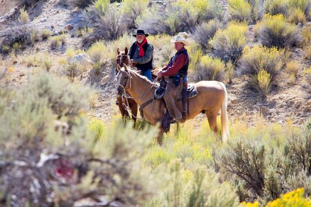 Western horseback outdoors photo