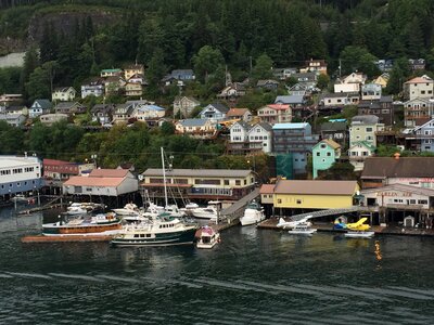 Salmon fishing tourism bay