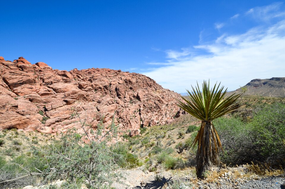 Red rock canyon rock cliff photo