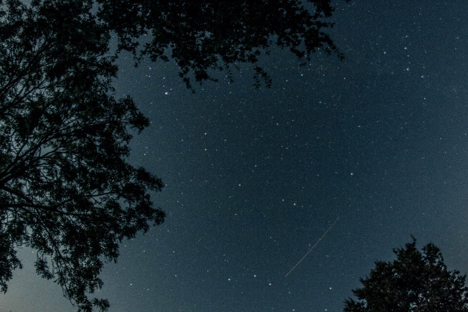 Star sky universe