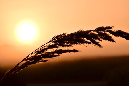 Sunrise light sun
