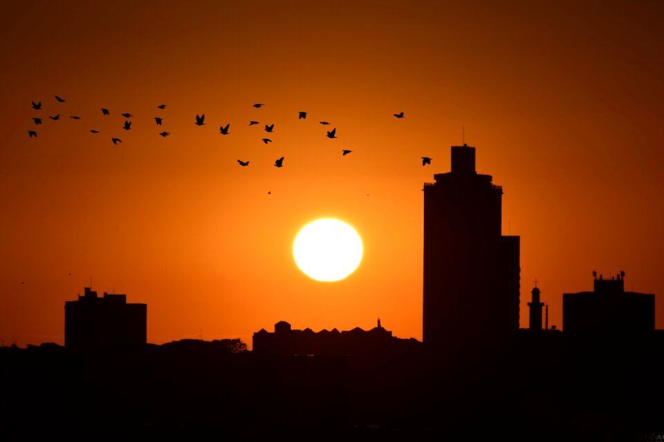 Eventide sunset city against light