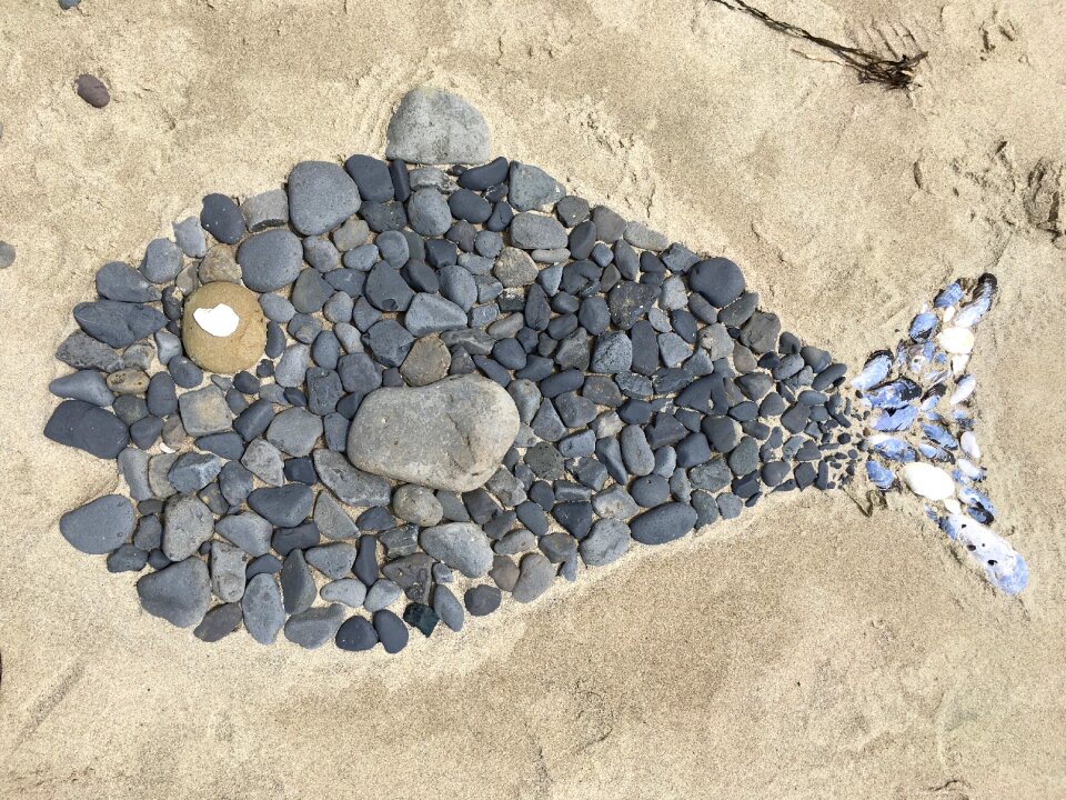 Rocks beach