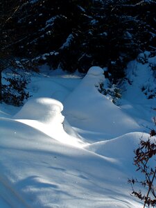 Season nature outdoor