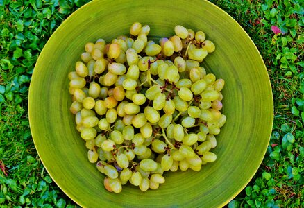 Healthy eat food