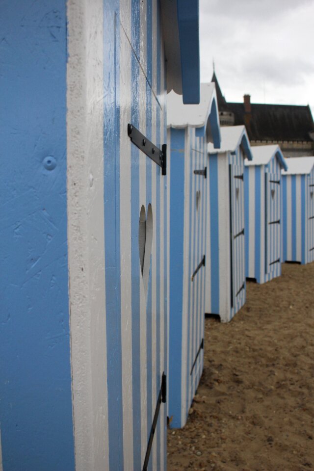 Blue toilet freedom