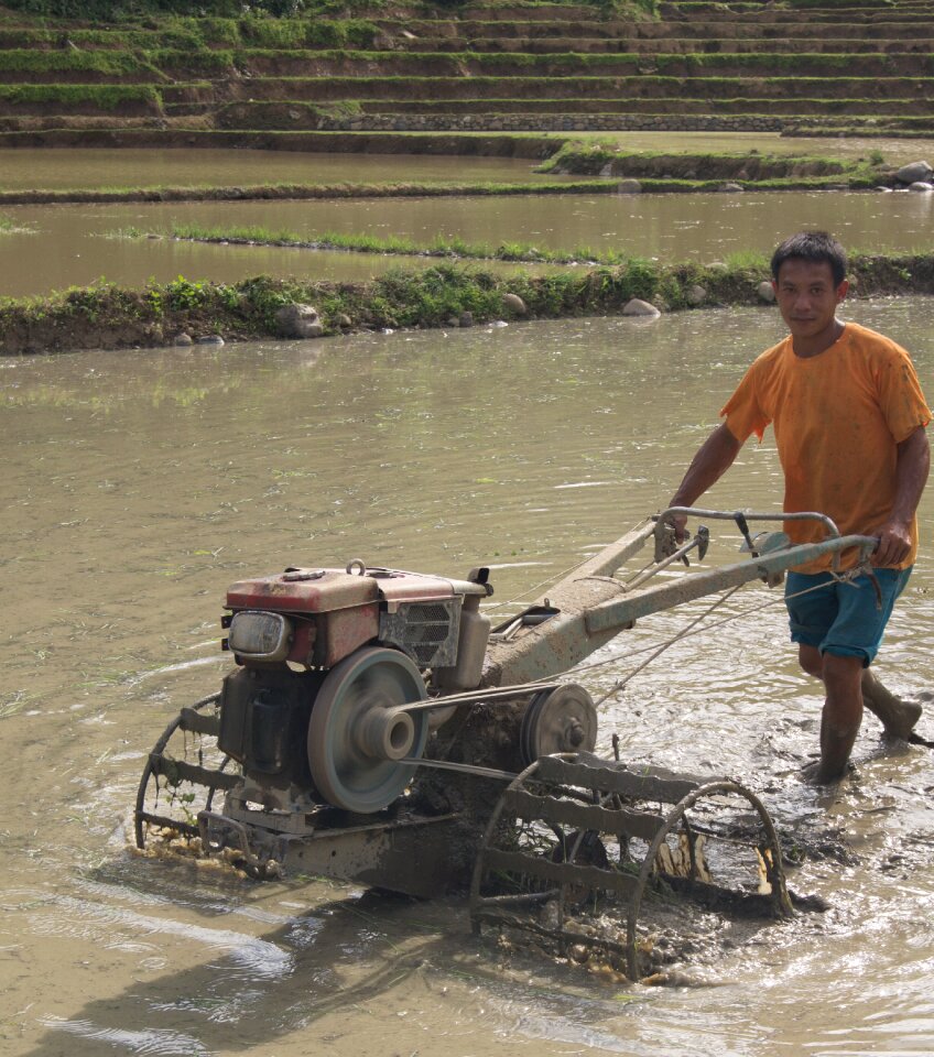 Agriculture work farm