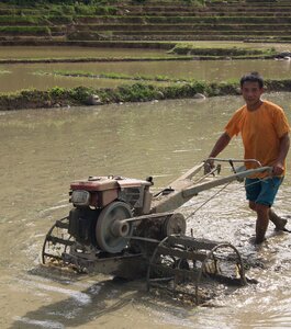 Agriculture work farm