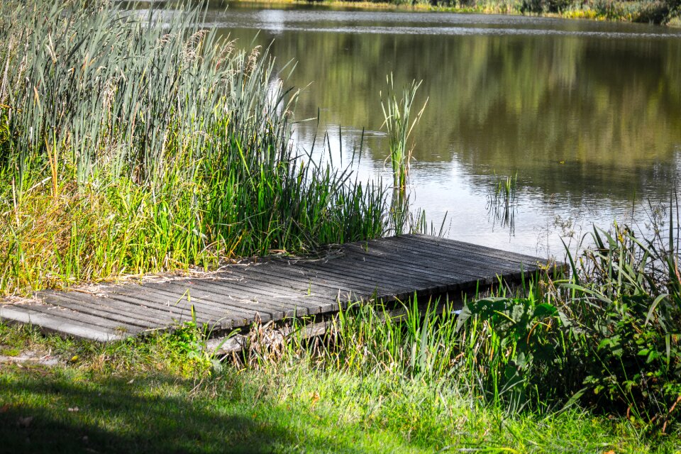 Bank jetty mirroring