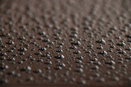 Drop of water drop of rain moisture photo