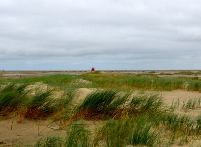 Dune grass borkum youth beach mood