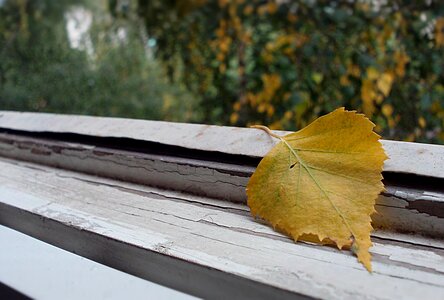 September sheet yellow