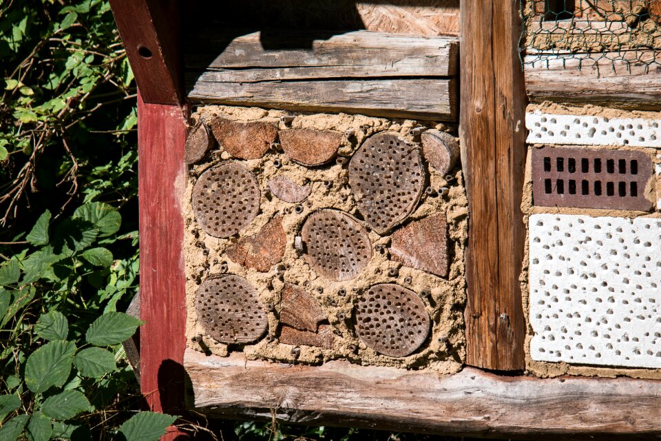 Insect protection measures wood bee hotel