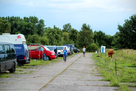 Cows wilderness campingwagen
