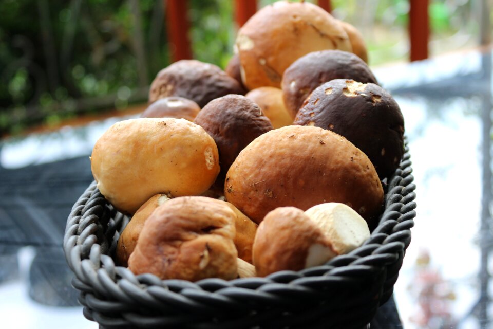 Basket autumn edible