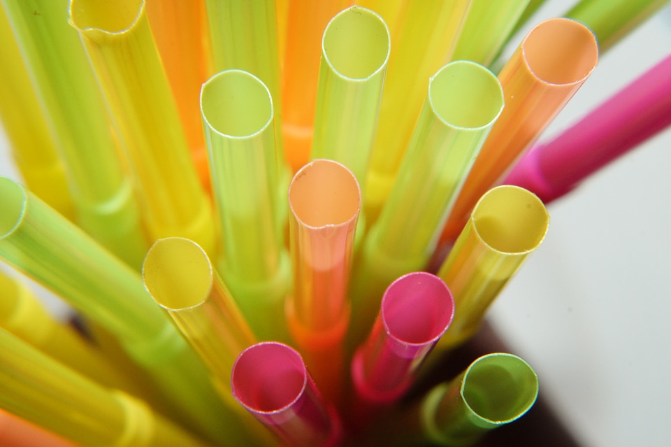 Macro colorful neon colors