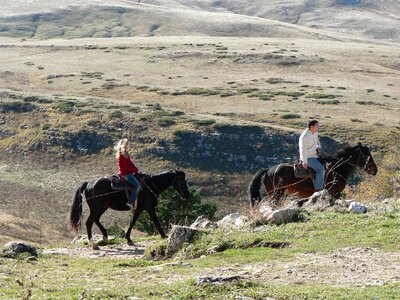 Horses tourists