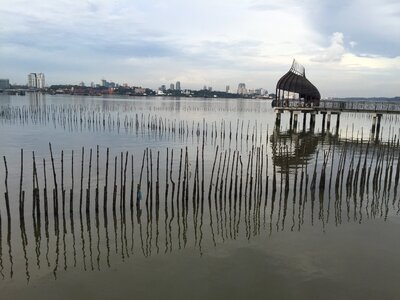 Nature reserve prawn farming