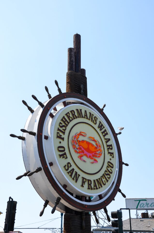 San francisco shield california photo