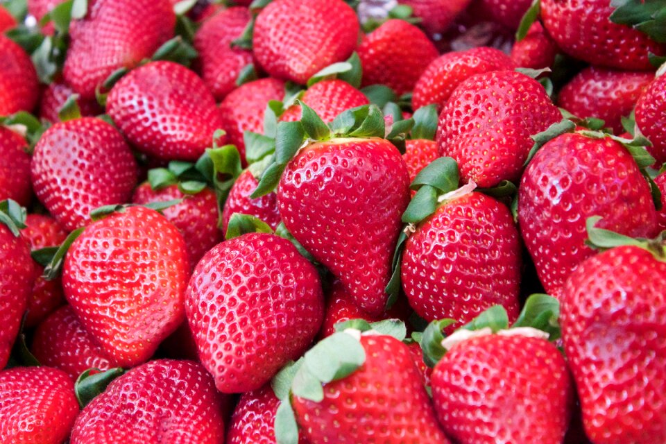 Fresh summer sweet