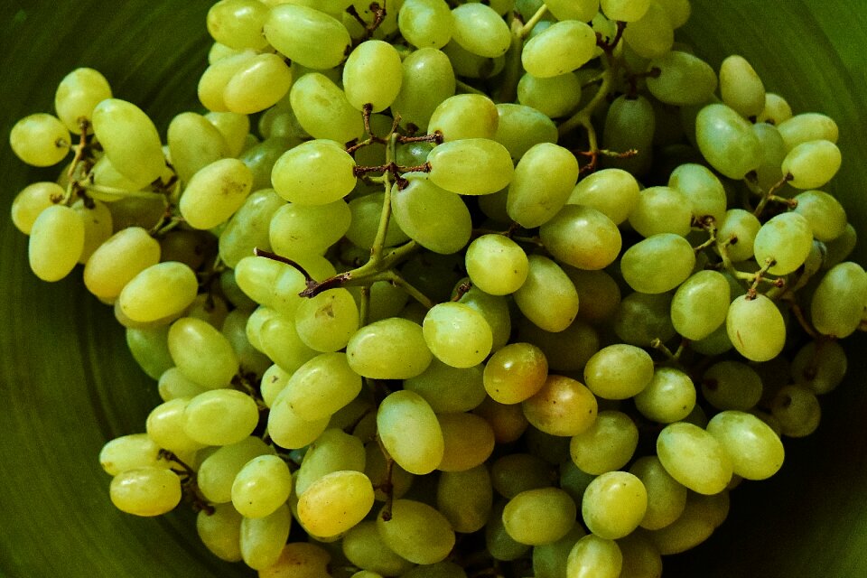 Healthy eat food