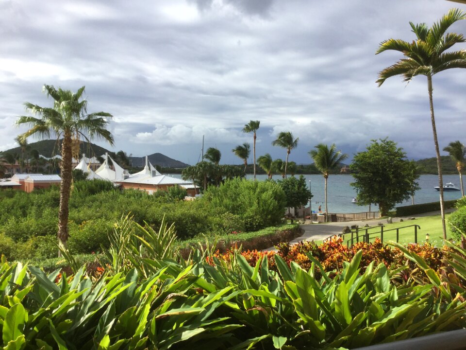 Vacation caribbean