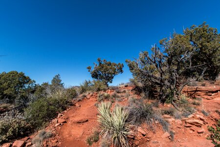 Arizona landscape hiking