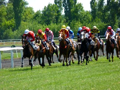 Racing horse hippodrome