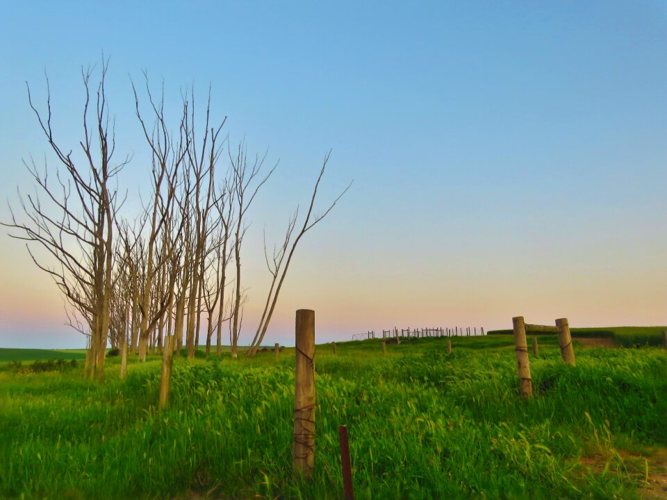 Country nature rural