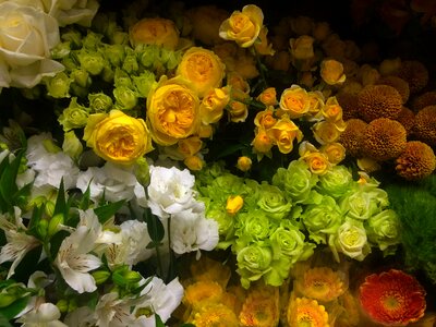 Green florist flowers