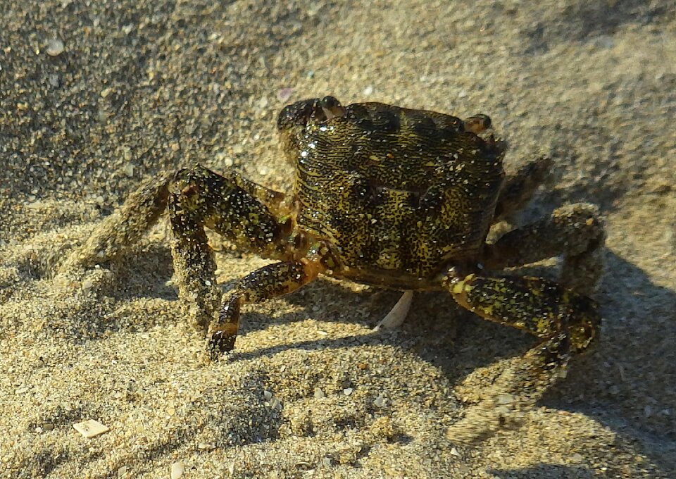 Nature sea sand