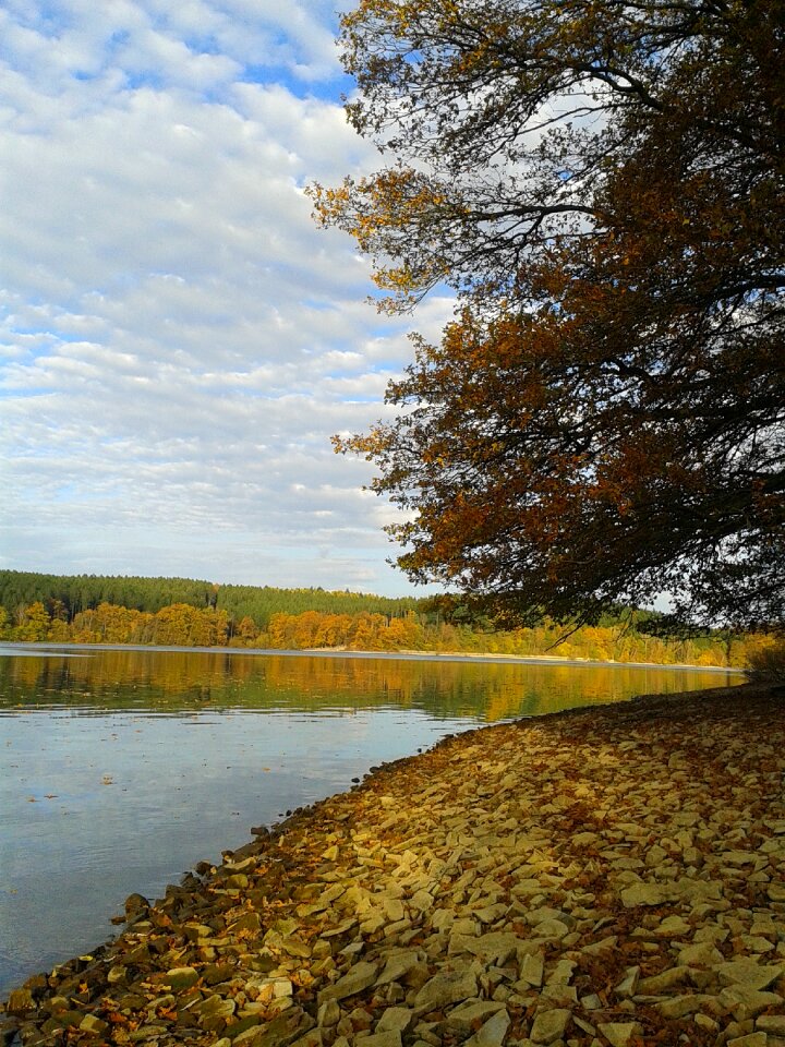 Reservoir autumn golden autumn