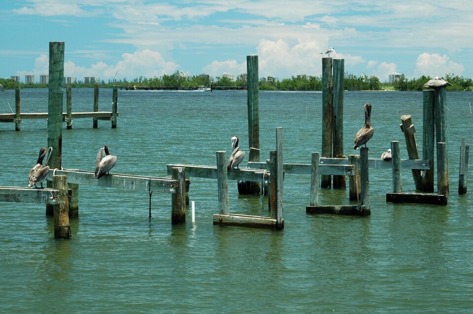 Bird river water