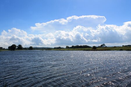 Rhine niederrhein water photo