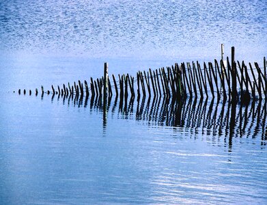 Wooden wire posts photo