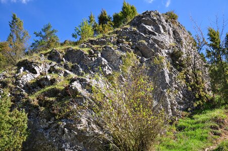 White water nature boulder