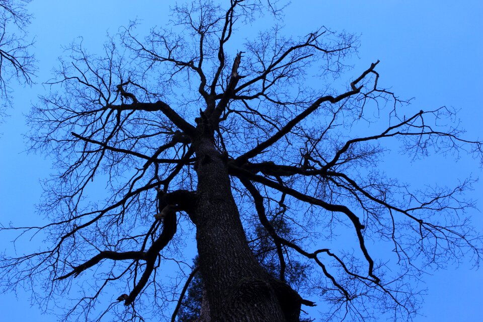 Contrast landscape sky