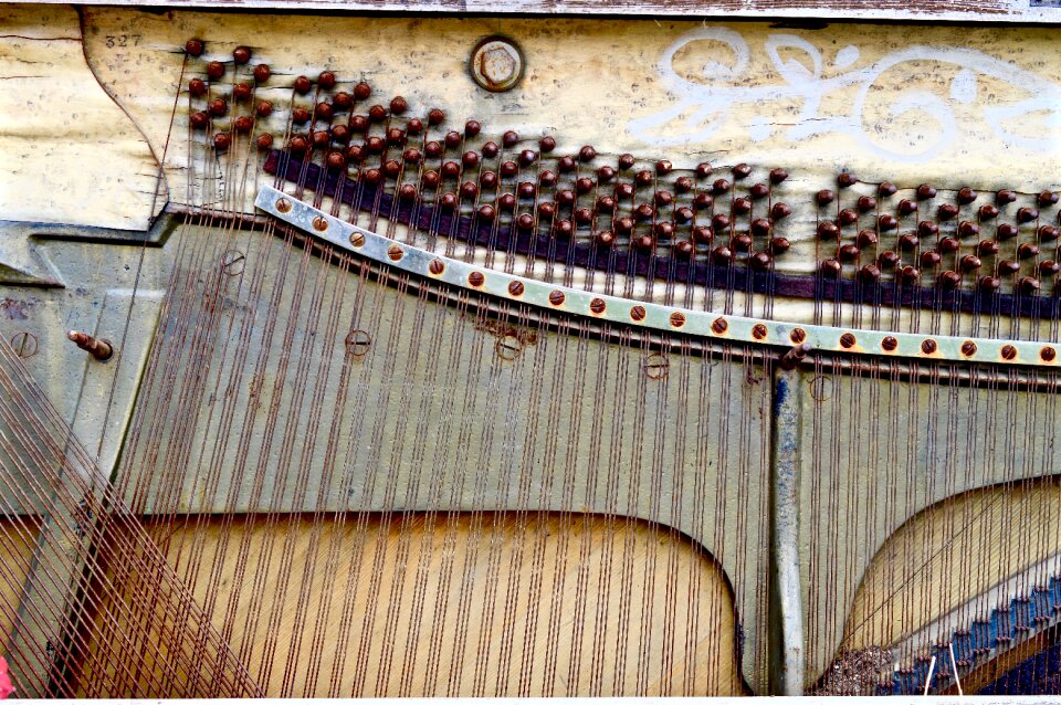 Musical music wires