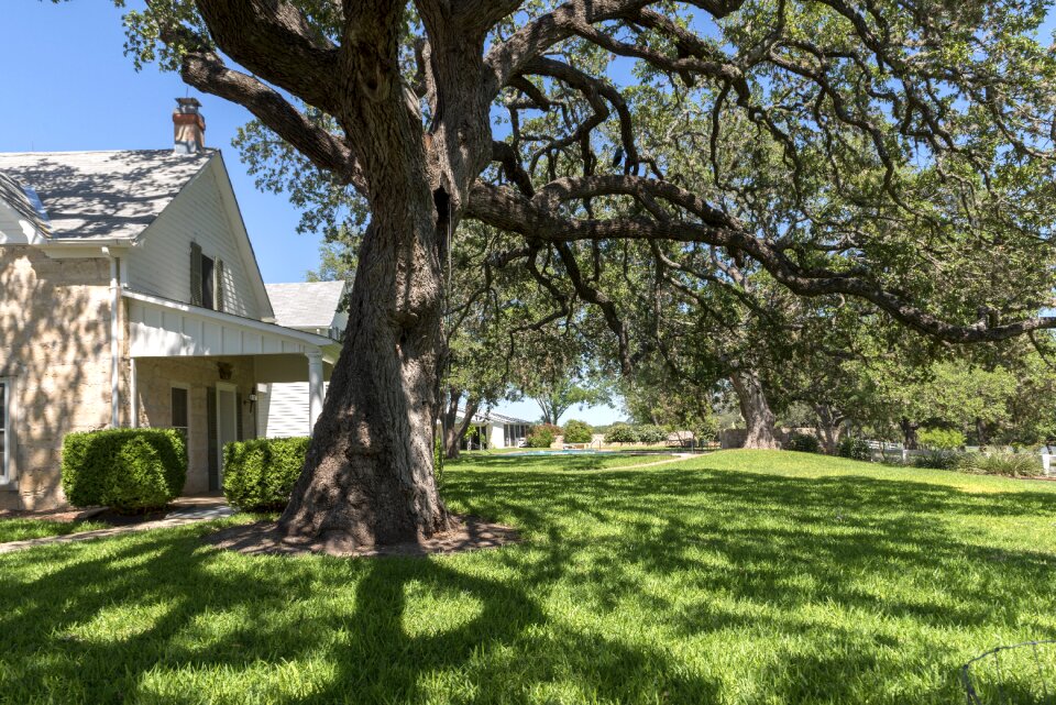 Architecture manor house property