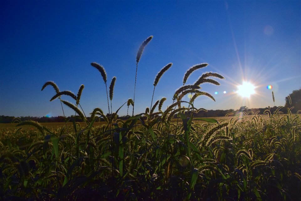 Landscape land nature photo