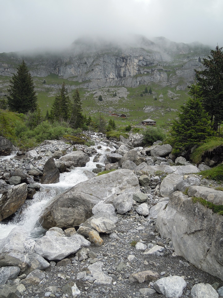 Rock firs fog