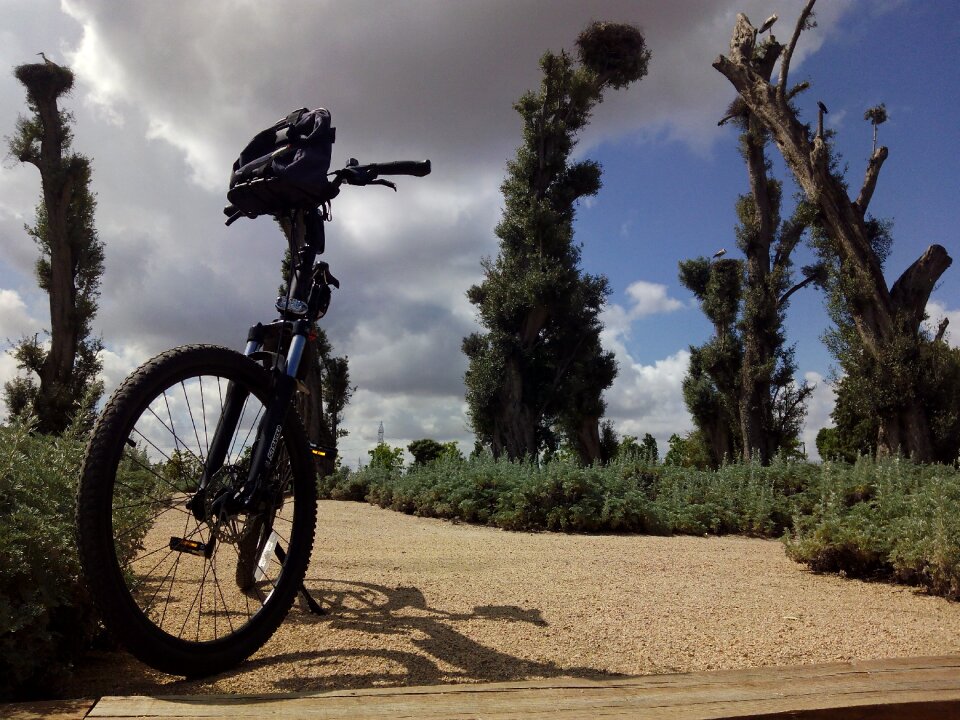 Bicycle challenge effort