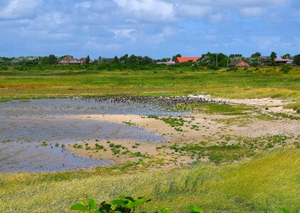 Gulls borkum landscape