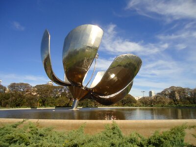 Recollect flower floralis generica