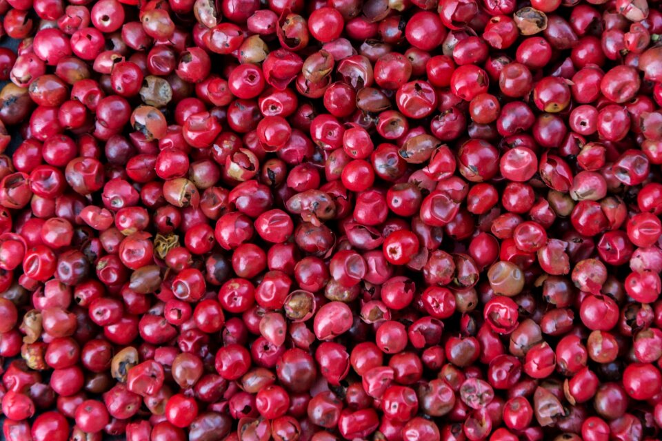 Red pepper red bay