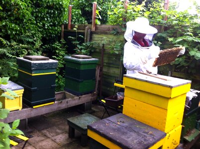 Beekeeper bees cabinets
